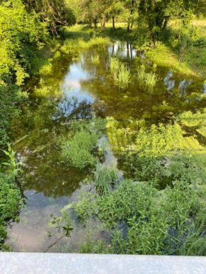 Le Moulin de Chambon
